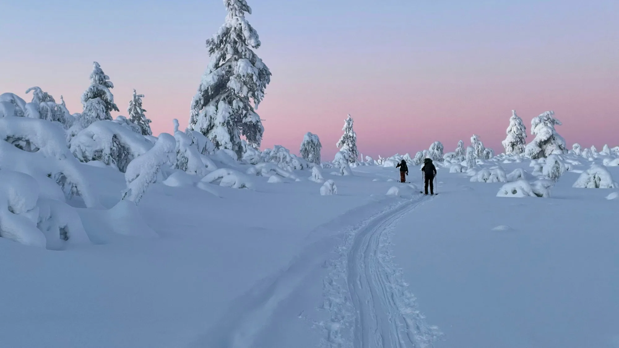 Langläufer auf einer verschneiten Fjellloipe unter rosa Himmel