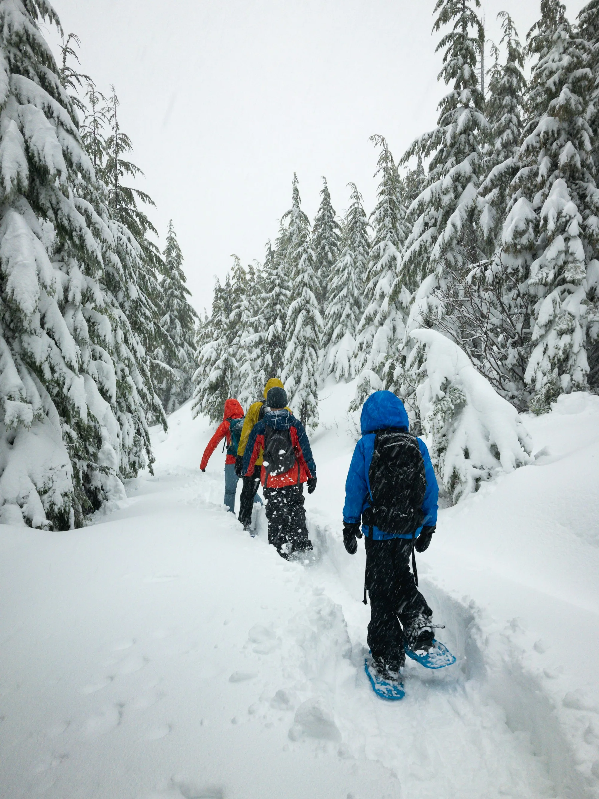 Vier Menschen gehen über ein Schneefeld