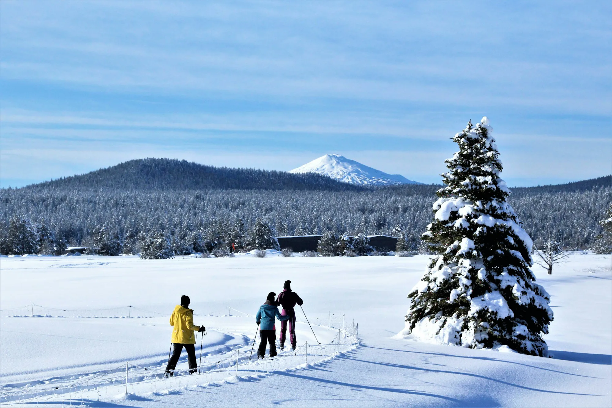 Eine Gruppe von Langläufern auf offenem Schnee unter blauem Himmel